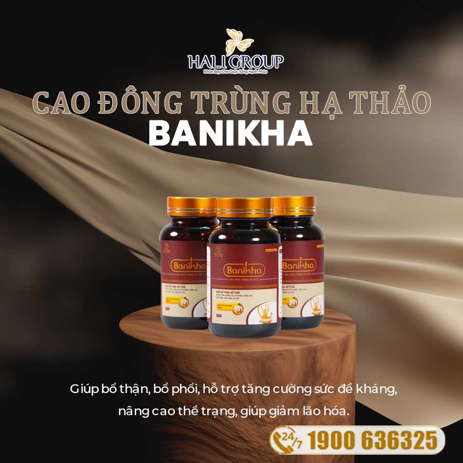 Đơn vị bán thực phẩm Banikha Cao đông trùng hạ thảo chính hãng trên toàn quốc