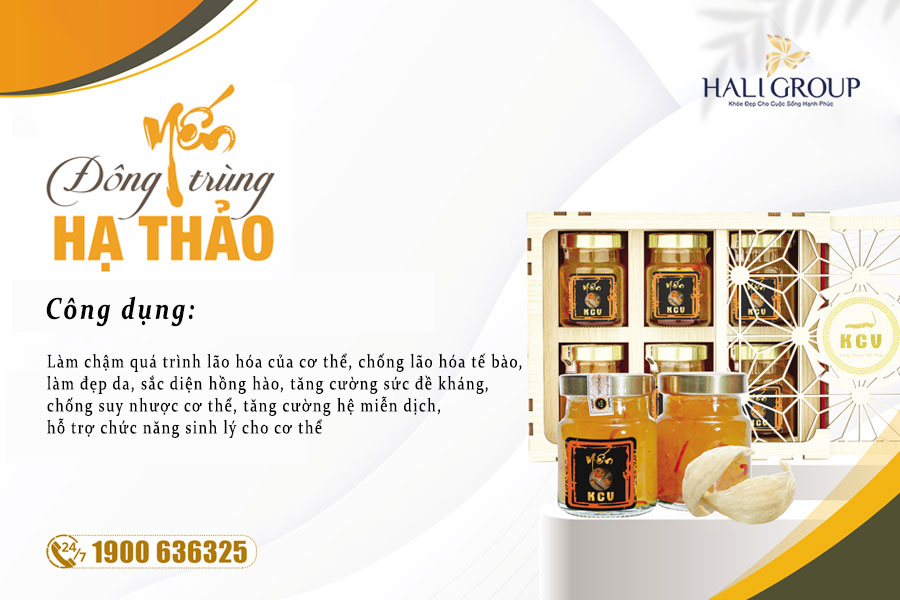 Đại lý Nước Yến Đông Trùng Hạ Thảo Kim Cương Vàng chính hãng