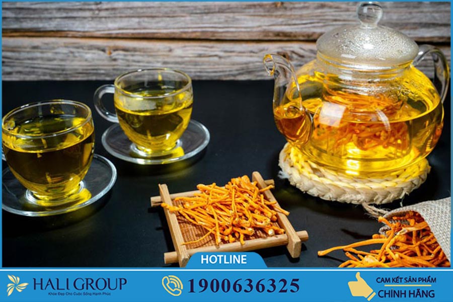 Đánh giá về Đông trùng hạ thảo tươi cho một số người tiêu dùng sau khi sử dụng sản phẩm